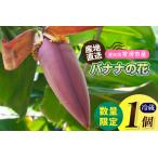 fu.... налог banana. цветок 1 шт (300g и больше ) | banana ... цветок фрукты фрукты banana Heart ценный Nankoku прямая поставка от производителя Tokoname город производство префектура Аичи производство внутренний производство здоровье.. префектура Аичи Tokoname город 