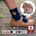ファッション おはなし靴下 ボックス カピバラ