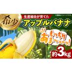 fu.... налог . obi фруктовое дерево производство комплект .. Apple banana примерно 3kg - banana ... маленький .. Okinawa префектура прямая поставка от производителя фрукты фрукты Nankoku утро еда рекомендация Okinawa префектура ... Okinawa префектура . -слойный . блок 