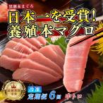 訳あり 不定貫 まぐろ マグロ 本鮪 黒潮本まぐろ