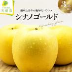 りんご サンふじ 黄色いりんご 3kgセット