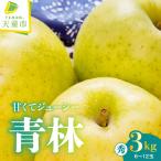 りんご 青林 3kg