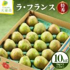 ラフランス 10kg