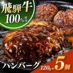 飛騨牛 100% ハンバーグ 120g