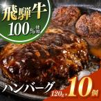 飛騨牛 100% ハンバーグ 120g