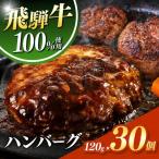 飛騨牛 100% ハンバーグ 120g