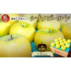 りんご 糖度13度以上 訳あり品 シナノゴールド 約5kg