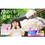 無洗米 夢つくし 30kg