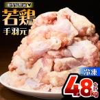 若鶏 ムネ 切身 4.8kg