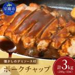 カネカン竹内 ポークチャップ 懐かしの特製デミソース付 20…