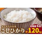 こしひかり 20kg×6回
