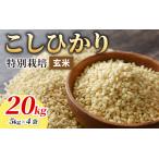 こしひかり 20kg