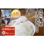 衣川の男米コシヒカリ 白米 5kg×2袋