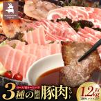 3種の絶品豚肉セット ロース 肩ロース 豚バラ