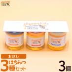 Japonica HONEY SELLER