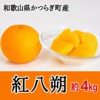 八朔 紅八朔 甘酸っぱさ はじける かつらぎの紅八朔 約4kg