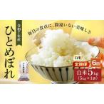 ふるさと納税 ひとめぼれ 定期便6回/5kg×1 令和7年産 宮城県産 米 精米 白米 宮城県大河原町