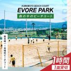 エボレパーク 1面1時間利用 利用券 運動イベント