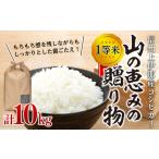 信州産 コシヒカリ 1等米 山の恵みの10kg