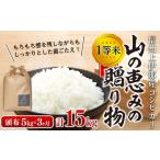 3ヶ月連続お届け 定期便 信州産 コシヒカリ