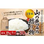 3ヶ月連続お届け 定期便 信州産 コシヒカリ