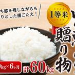 6ヶ月連続お届け 定期便 信州産 コシヒカリ