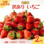 ★予約受付★平川いちご農園 産いちご 訳あり 2kg