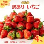 ★予約受付★平川いちご農園 産いちご 訳あり 4kg