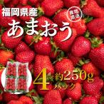 産あまおう 約250g×4パック