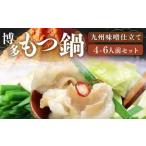 博多 もつ鍋 セット 九州 味噌 仕立て 4~6人前