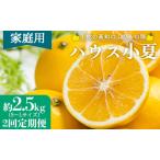 土佐の高知のくだもの畑 ハウス小夏2.5kg