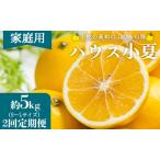 土佐の高知のくだもの畑 ハウス小夏 5kg