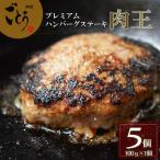 ハンバーグ 肉王 100g×5個入