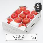 りんご サンふじ 3kg