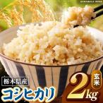 こしひかり 玄米 2kg