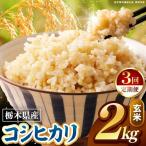 こしひかり 玄米 2kg