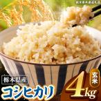 こしひかり 玄米 4kg