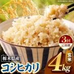 こしひかり 玄米 4kg