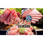 ふるさと納税 【12回定期便】〈月替わり〉まぐろ ３種 お楽しみセット マグロ Wnz-0119 高知県香南市