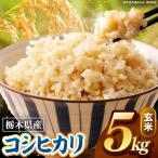 こしひかり 玄米 5kg