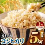 こしひかり 玄米 5kg