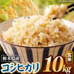 こしひかり 玄米 10kg