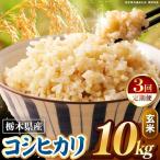 こしひかり 玄米 10kg