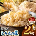 ミルキークイーン 玄米 2kg