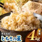 とちぎの星 玄米 4kg