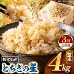 とちぎの星 玄米 4kg