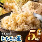 ミルキークイーン 玄米 5kg