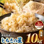 ミルキークイーン 玄米 10kg