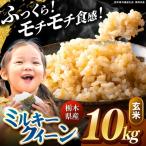 ミルキークイーン 白米 10kg