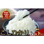 3回定期便 こしひかり 新米 5kg
